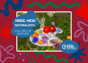 june colors